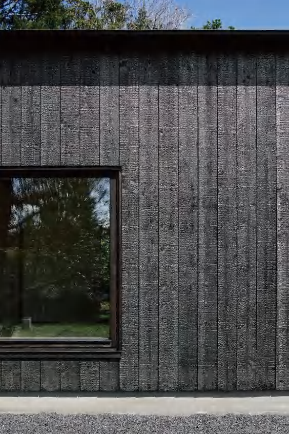 Wood Finishes