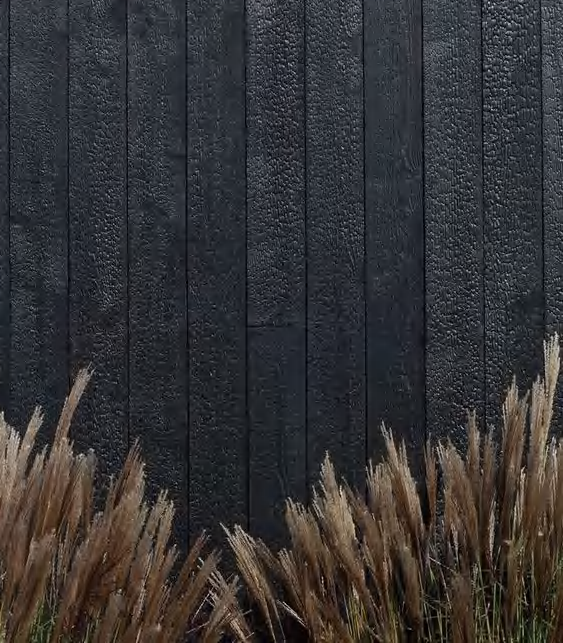 Wood Finishes