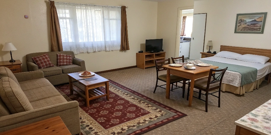 A modestly but completely furnished living room in a small apartment